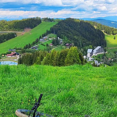 Bergapartment Simonhoehe