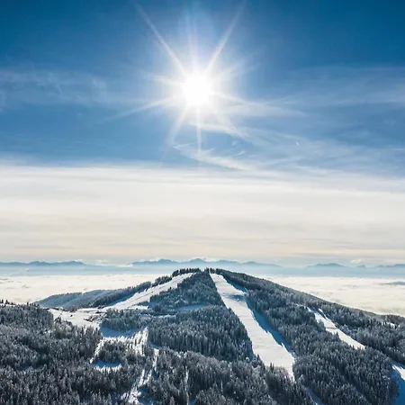 Bergapartment Simonhöhe