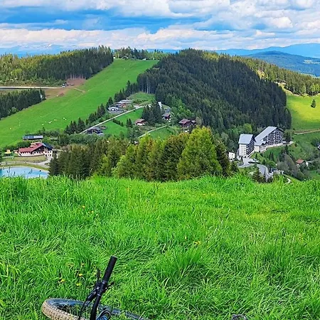 Apartment Bergapartment Simonhöhe Zirkitz