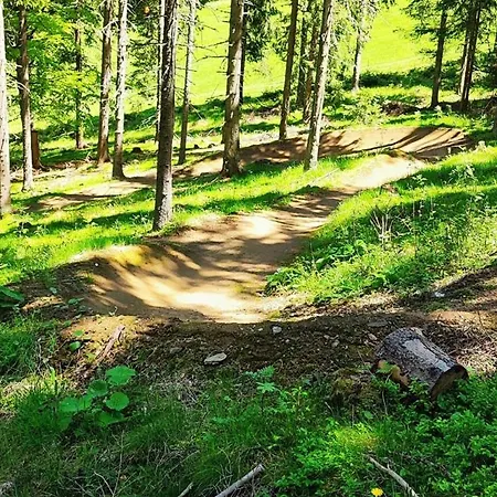 Apartment Bergapartment Simonhöhe