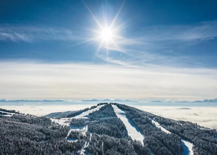 Bergapartment Simonhoehe